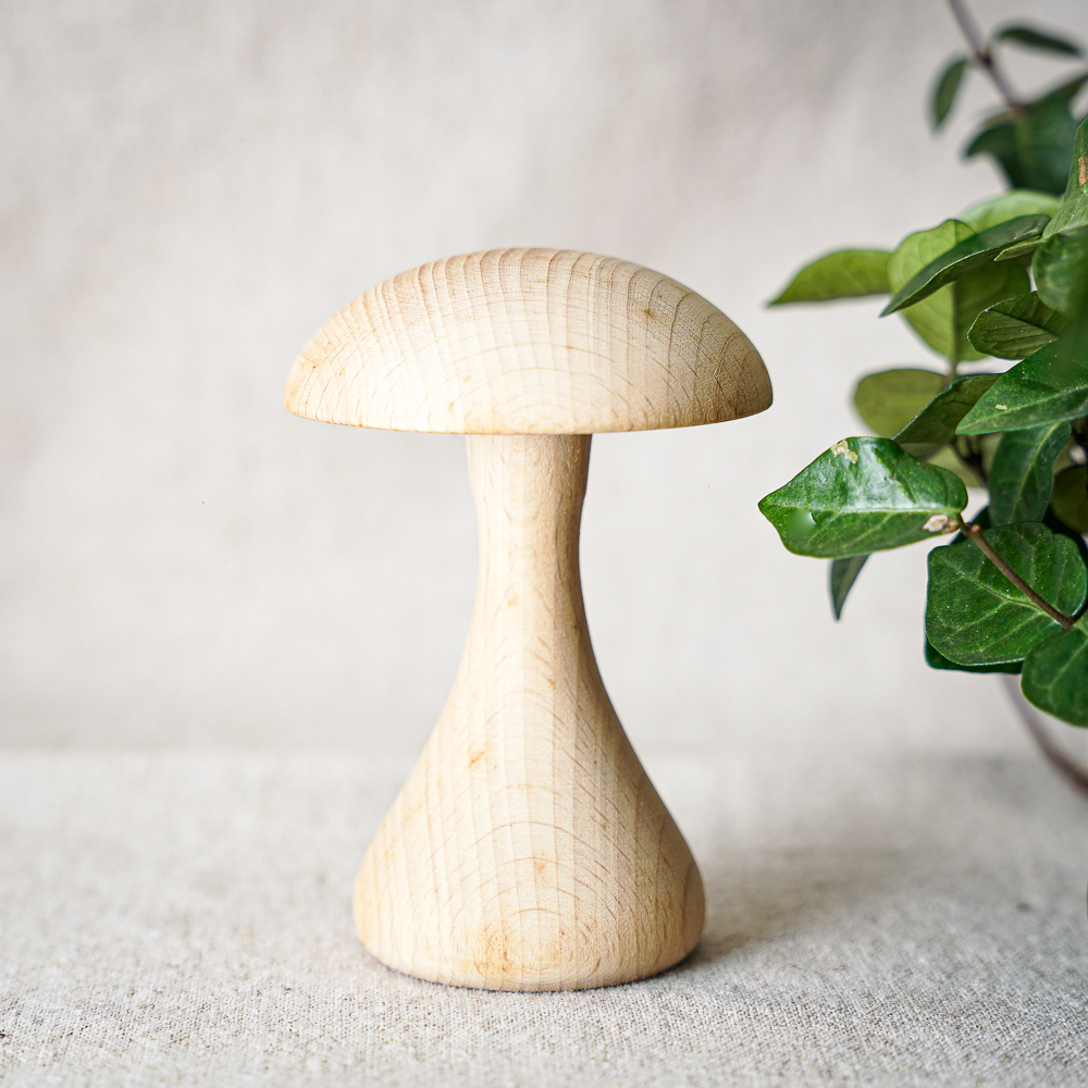 小蘑菇-扁