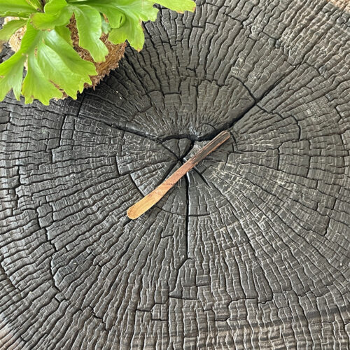 茶杓(携帶用)