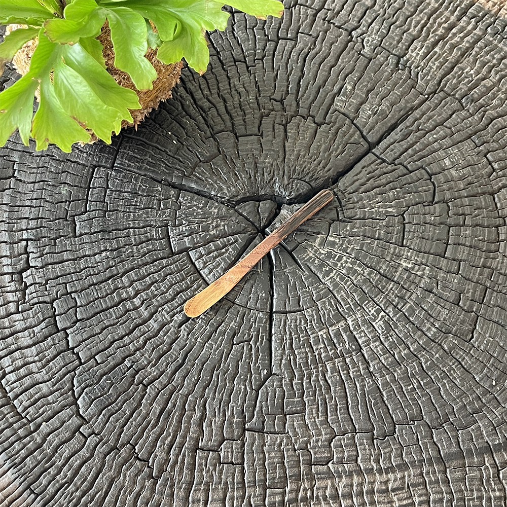 茶杓(携帶用)