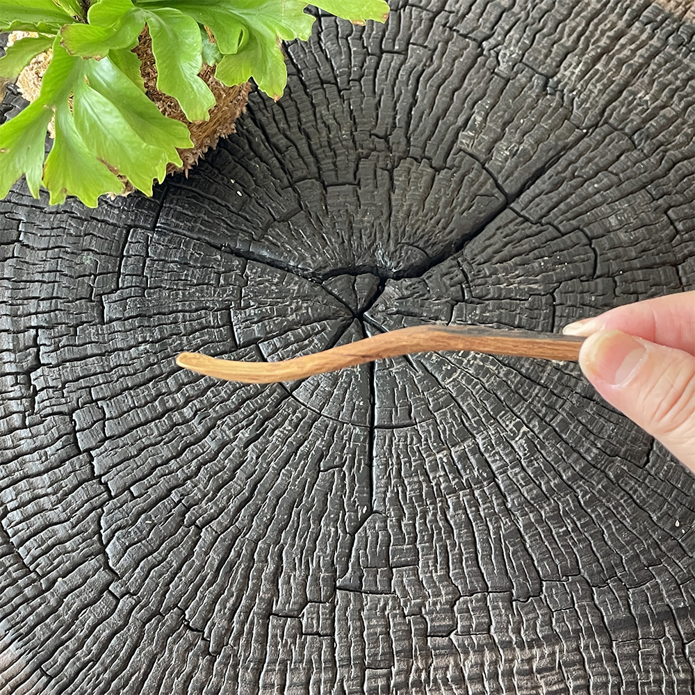 茶杓(携帶用)