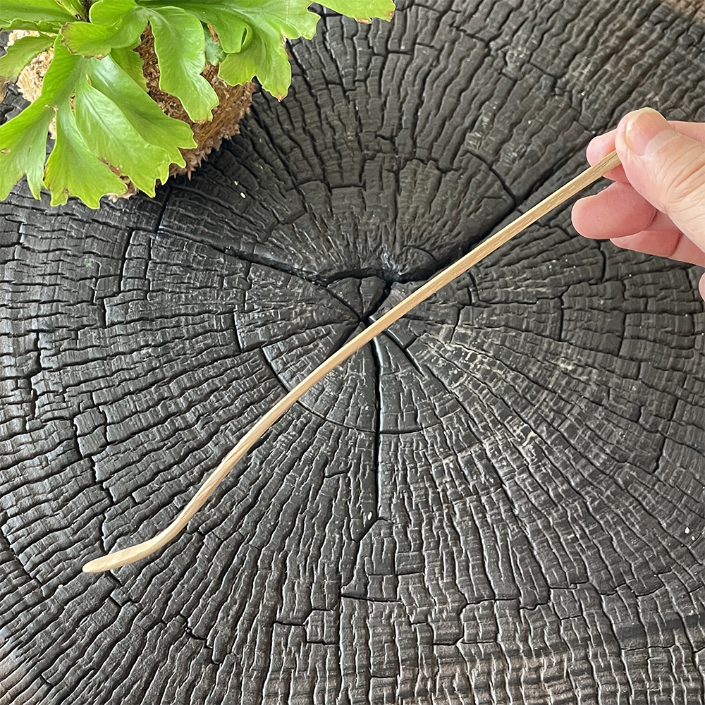 茶杓