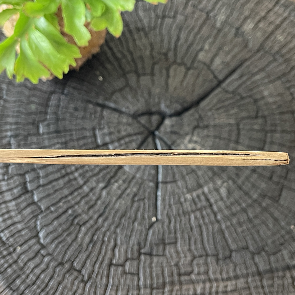 茶杓